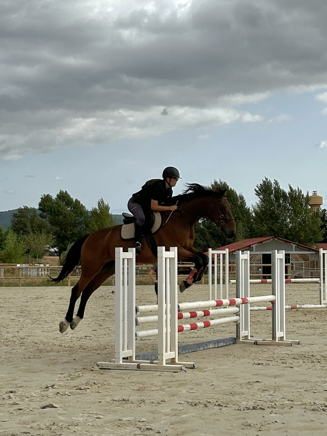 Équitation